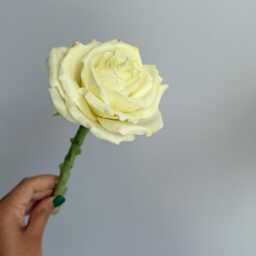 Handmade Beeswax Rose Candle Unique Flower Gift Hor Her/Home Decor - thumbnail 3