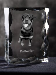Rottweiler, Cubic Crystal With Dog, Souvenir, Decoration, Limited Edition, Collection - thumbnail 1