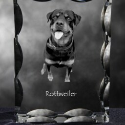 Rottweiler, Cubic Crystal With Dog, Souvenir, Decoration, Limited Edition, Collection - thumbnail 2