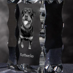 Rottweiler, Cubic Crystal With Dog, Souvenir, Decoration, Limited Edition, Collection - thumbnail 3