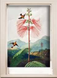 Victorian Floral With Birds Botanical Illustration Custom Made Printed - Vnt79Window Roller Blind Regular Or Blackout Shade, Cord(Less