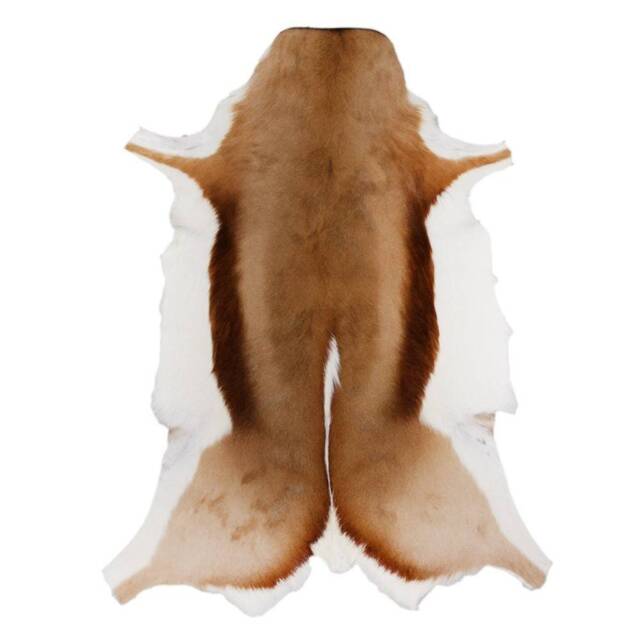 Springbok/Small Antelope Skin Rug. Full Authentic Hide. Leather Throws African Interior Decor Shipping Worldwide With Import Certificates - image 1