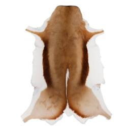 Springbok/Small Antelope Skin Rug. Full Authentic Hide. Leather Throws African Interior Decor Shipping Worldwide With Import Certificates - thumbnail 1