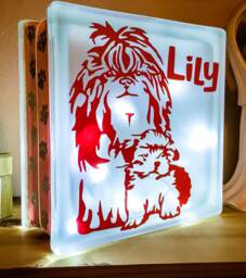 Cute Shih Tzu Nightlight, Shihtzu Dog & Puppy Glass Light Block, Personalised Keepsake Gift