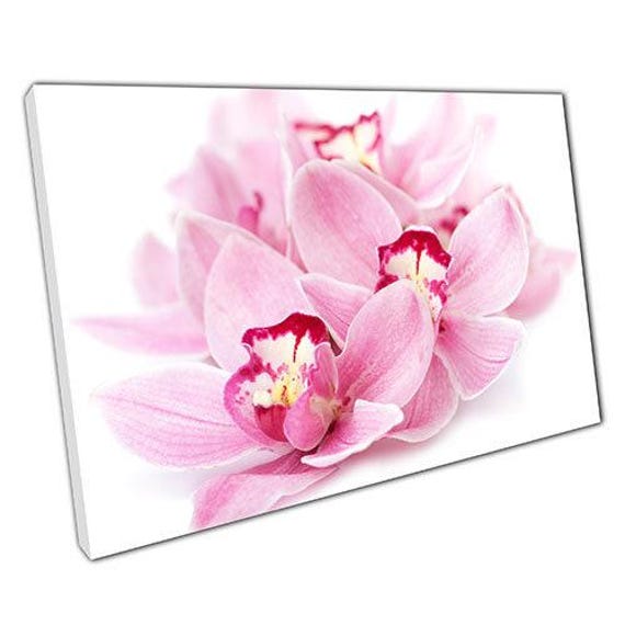 Pink Orchids Canvas Wall Art - Ready To Hang Home Office Decor - image 1