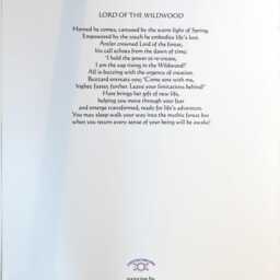 Lord Of The Wildwood - A3 Poster Print By Wendy Andrew Painting Dreams - thumbnail 2