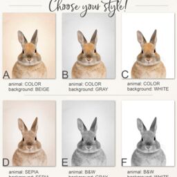 Forest Animals Nursery Prints, Woodland Creatures Decor - Set Of 8 - thumbnail 3