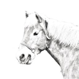 Haflinger - Wooden Stand For Candles/Pens With The Image Of A Horse New Collection - thumbnail 2