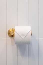 Brushed Brass Toilet Paper Holder - Satin Solid - The Origin Hardware
