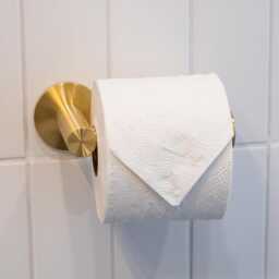 Brushed Brass Toilet Paper Holder - Satin Solid - The Origin Hardware - thumbnail 3