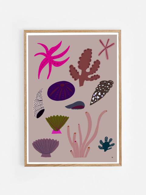 Poster/ Art Print/ Gift/ Wall Decoration/ Art/ Living Room/ Hygge/ Illustration/ Interior/ Maritime/ Sea/ Shells - image 1