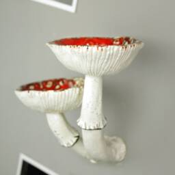 Double Mushroom Shelf, Decor, Shelves, Crystal Mushroom, Wall Floating Jewelry Holder - thumbnail 4