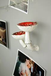 Double Mushroom Shelf, Decor, Shelves, Crystal Mushroom, Wall Floating Jewelry Holder