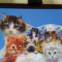 Professionally Framed Finished 1000Pc Sunsout's Litter Of Kittens Shaped Puzzle Wall Art - thumbnail 4