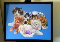 Professionally Framed Finished 1000Pc Sunsout's Litter Of Kittens Shaped Puzzle Wall Art