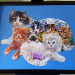 Professionally Framed Finished 1000Pc Sunsout's Litter Of Kittens Shaped Puzzle Wall Art - thumbnail 3