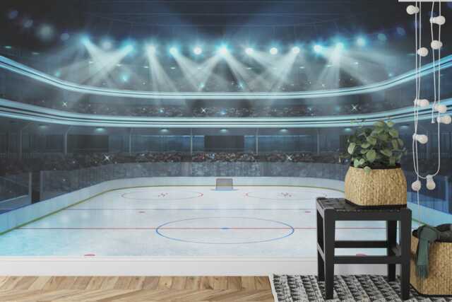 Hockey Arena Wall Mural, Boys Room Peel & Stick Removable Wallpaper - image 1