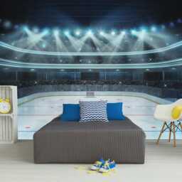 Hockey Arena Wall Mural, Boys Room Peel & Stick Removable Wallpaper - thumbnail 2