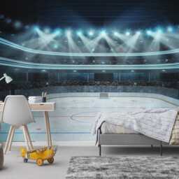 Hockey Arena Wall Mural, Boys Room Peel & Stick Removable Wallpaper - thumbnail 3