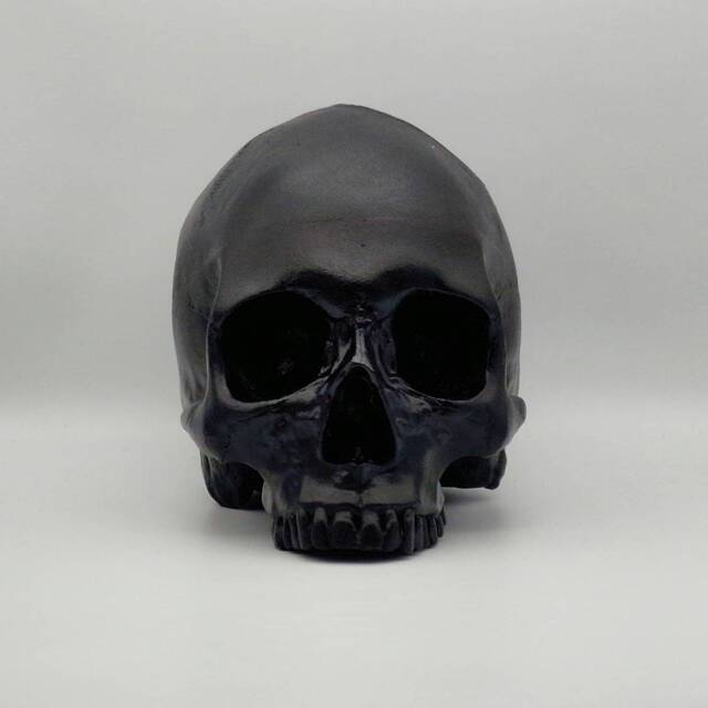 Black Skull. Plaster Of Paris Life Size Human Skull Replica - image 1