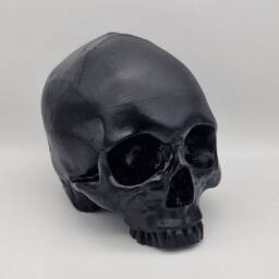 Black Skull. Plaster Of Paris Life Size Human Skull Replica - thumbnail 3