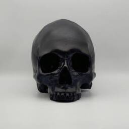 Black Skull. Plaster Of Paris Life Size Human Skull Replica - thumbnail 1