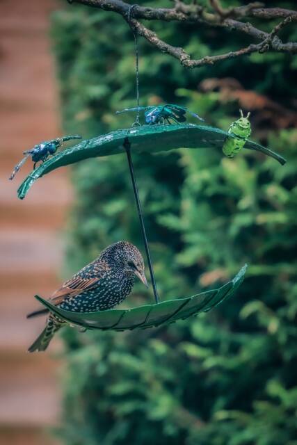 Leaf Bird Feeder With Butterflies & Caterpillar. Hanging Metal Outdoor - image 1