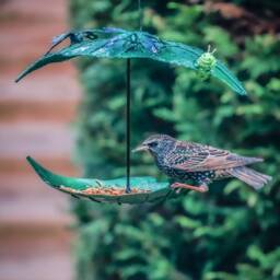 Leaf Bird Feeder With Butterflies & Caterpillar. Hanging Metal Outdoor - thumbnail 4