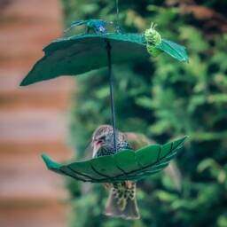 Leaf Bird Feeder With Butterflies & Caterpillar. Hanging Metal Outdoor - thumbnail 3