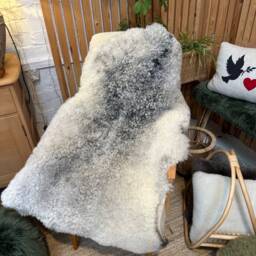 Natural Gotland Sheepskin, Grey Rare Sheepskin Rug, Throw, Swedish Nordic Home Interior, Scandinavian Decor - thumbnail 2