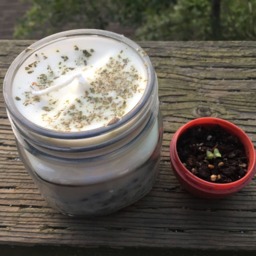 Limited Time Only Fresh Scented Creosote Candles - thumbnail 2