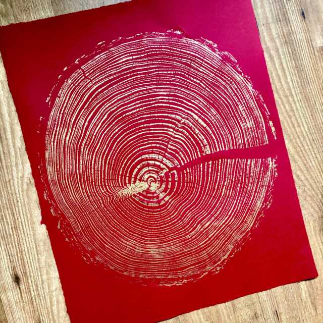 Gold Tree Ring Woodcut Print English Larch On Red Paper - image 1