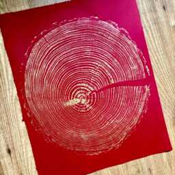 Gold Tree Ring Woodcut Print English Larch On Red Paper - thumbnail 1