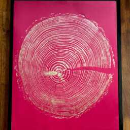 Gold Tree Ring Woodcut Print English Larch On Red Paper - thumbnail 3