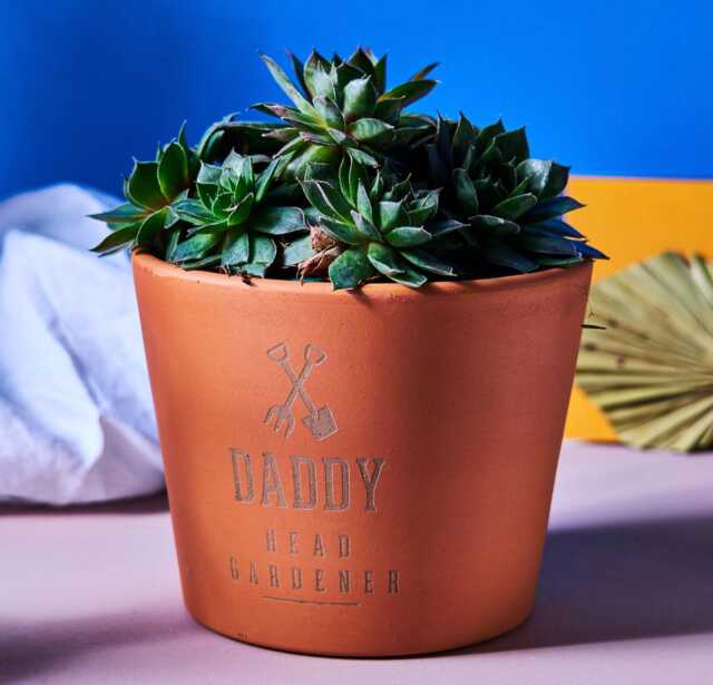 Personalized Terracotta Plant Pot, Engraved Father's Day Gift - image 1
