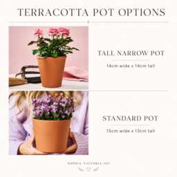 Personalized Terracotta Plant Pot, Engraved Father's Day Gift - thumbnail 2