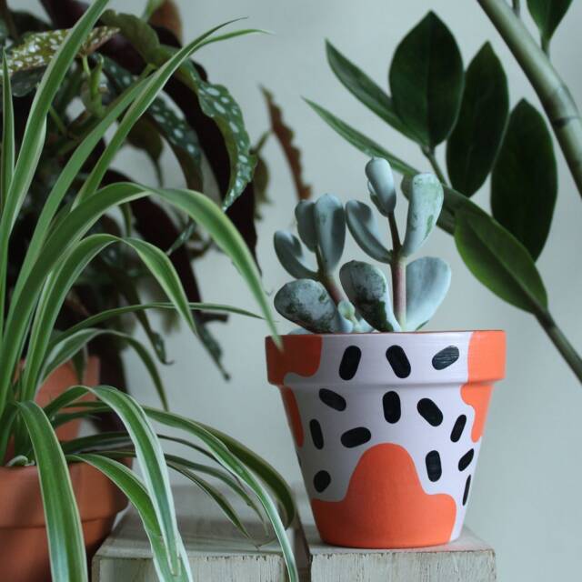 Hand Painted Terracotta Plant Pot Customizable Houseplant Planter - image 1