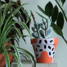 Hand Painted Terracotta Plant Pot Customizable Houseplant Planter - thumbnail 1