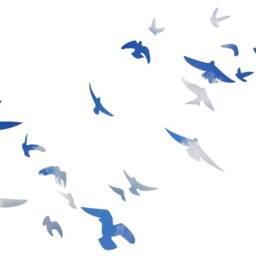 "Vwaq Flock Of Birds Flying Wall Decals Stickers Peel & Stick Art Vwaq-Fb1 - 2"" To 8" - thumbnail 2