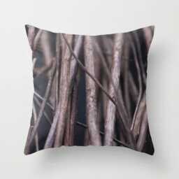 Dry Sticks Nature Pillow/Cover - Rustic Fall D??cor, Country Living Accent, Cozy Home Decoration, Autumn Charm - thumbnail 1
