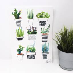 Succulents Art Print 8x10 In, Plant Art, Home Decor, Wall