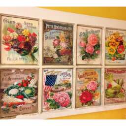Antique Seed Catalog Print, 5 X 7, Floral Ephemera, 1898 Garden Wall Art, Hanging, Home Decor, Botanical Decoration, Packet, 16-9 - thumbnail 2