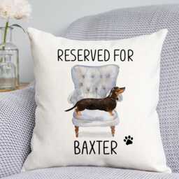 Dachshund Cushion - Dog Related Gift Reserved For Dog Cushion Gift