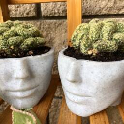 Head Planter - Face Succulent Planters Woman Plant Pots Home Garden Medusa Pot Decor Flower Housewarming Gift - thumbnail 4