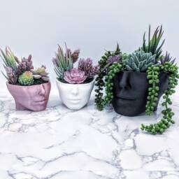 Head Planter - Face Succulent Planters Woman Plant Pots Home Garden Medusa Pot Decor Flower Housewarming Gift - thumbnail 3