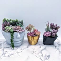 Head Planter - Face Succulent Planters Woman Plant Pots Home Garden Medusa Pot Decor Flower Housewarming Gift