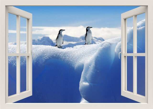 Antarctica Animals 3D Window Wall Decal, Penguins Snow Iceberg Frame Sticker, View Home Decal