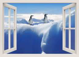 Antarctica Animals 3D Window Wall Decal, Penguins Snow Iceberg Frame Sticker, View Home Decal