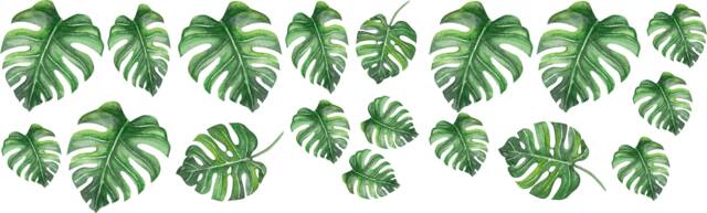 Safari Animal Wall Decal Set Watercolor Leaves & Cubs For Kids - image 1