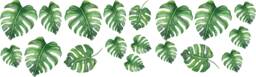 Safari Animal Wall Decal Set Watercolor Leaves & Cubs For Kids - thumbnail 1